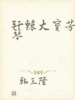 轩辕大宝芳菲雅琴