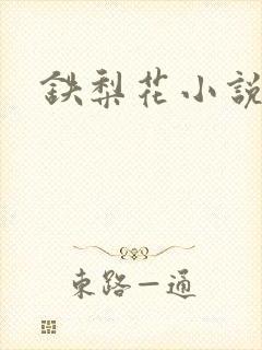 铁梨花小说