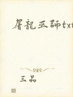 屠龙巫师txt