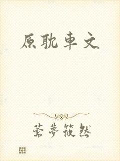 原耽车文