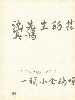 沈先生的花式调冥鸿