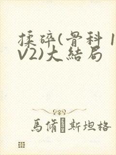 揉碎(骨科 1V2)大结局