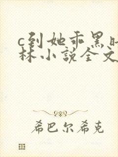 c到她乖黑暗森林小说全文阅读