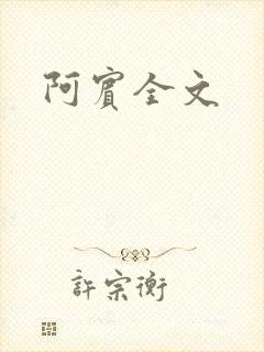 阿宾全文