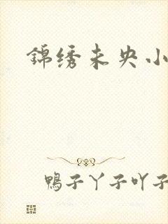 锦绣未央小说