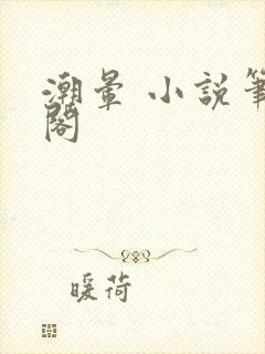 潮晕 小说笔趣阁