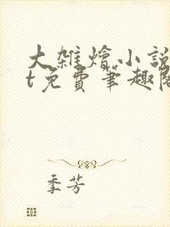 大杂烩小说txt免费笔趣阁