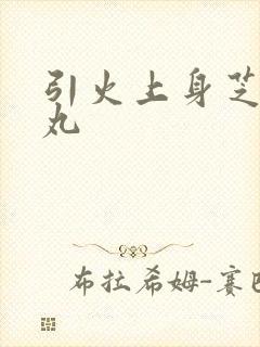 引火上身芝麻糖丸