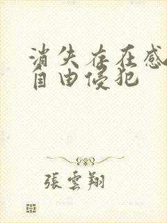 消失存在感消失自由侵犯