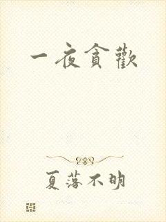 一夜贪欢