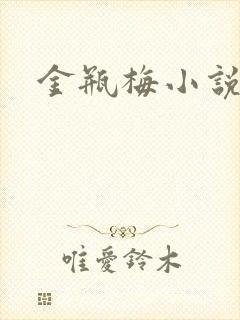 金瓶梅小说在线