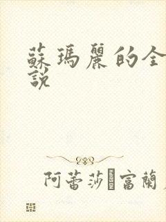 苏玛丽的全部小说