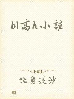 bl高h小说