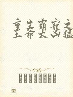 重生霸宠之摄政王爷太凶猛