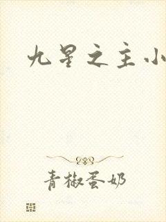 九星之主小说