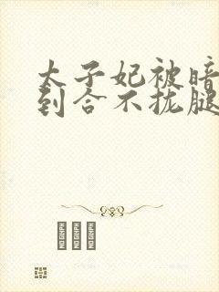 太子妃被暗卫C到合不拢腿