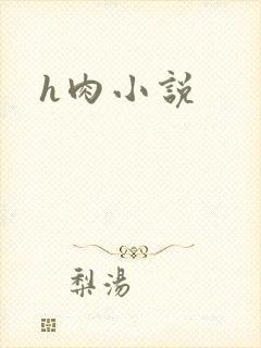 h肉小说