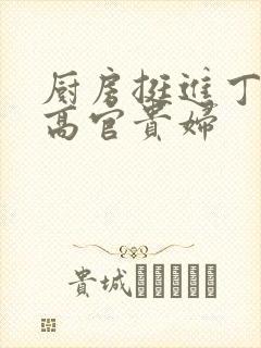 厨房挺进丁字裤高官贵妇