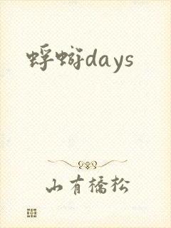 蜉蝣days