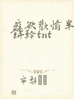 瘾欲欢愉半块小饼干tnt