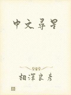 中文寻星