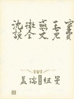 沈微燕王穿越小说全文免费阅读