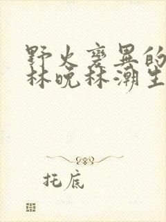 野火变异的父爱林晚林潮生