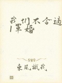 我们不合适1v1军婚