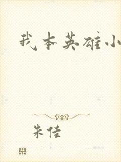 我本英雄小说