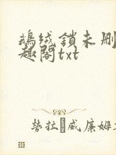 鹅绒锁未删除笔趣阁txt