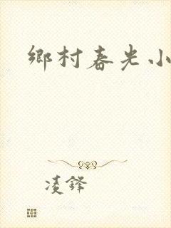 乡村春光小说