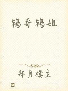 鸨哥鸨姐