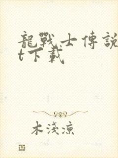 龙战士传说txt下载