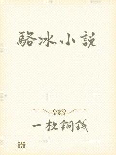 骆冰小说