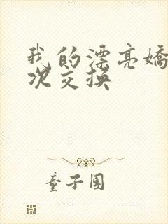 我的漂亮娇妻初次交换