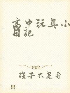 高中玩具小诗的日记