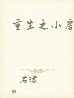 重生之小房东