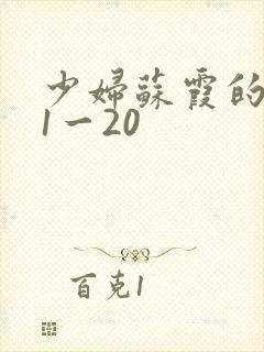 少妇苏霞的沉沦1一20