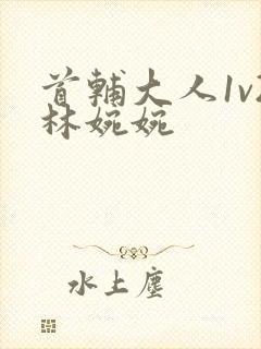 首辅大人1v2林婉婉