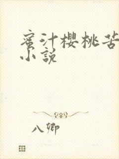 蜜汁樱桃苦咖啡小说