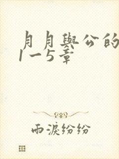月月与公的激情1一5章