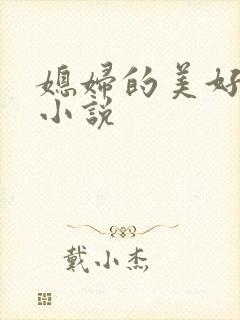 媳妇的美好时代小说