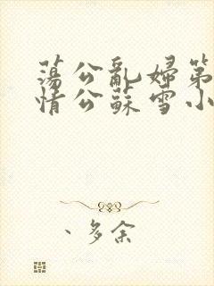 荡公乱妇第1章情公苏雪小说