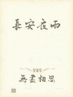 长安夜雨