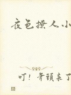 夜色撩人小说