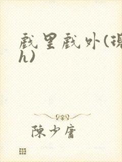 戏里戏外(现场h)