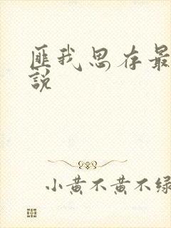 匪我思存最新小说