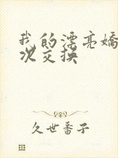 我的漂亮娇妻初次交换