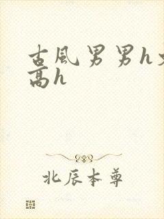 古风男男h文肉高h