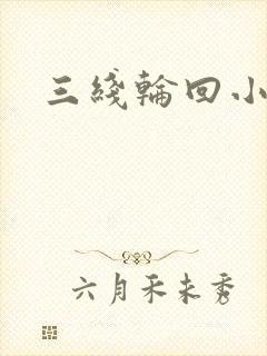 三线轮回小说